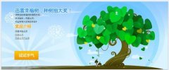 迅雷幸福树不见了怎么解决