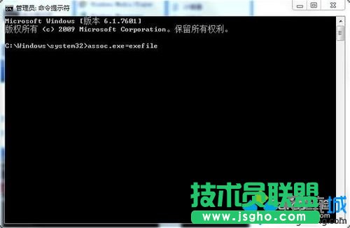 输入assoc.exe=exefile