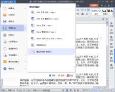 WPS内容打印限制型