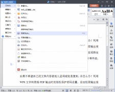 WPS阅读修改限制型