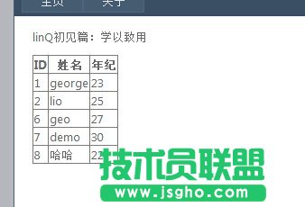 什么是linq技术？