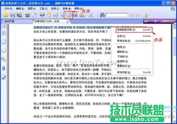 如何复制pdf中的内容