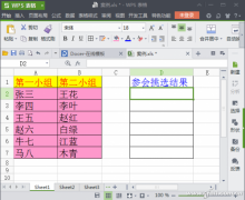 wps原始数据划片引用输入