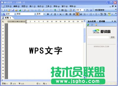 WPS Office 2007五大最受欢迎技巧