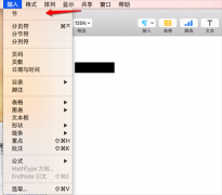Pages如何添加页眉、页脚和页码