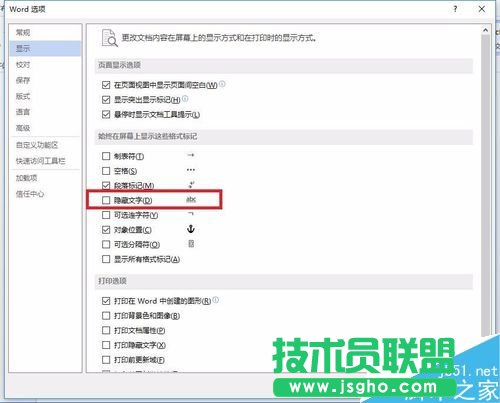 如何设置word隐藏文字