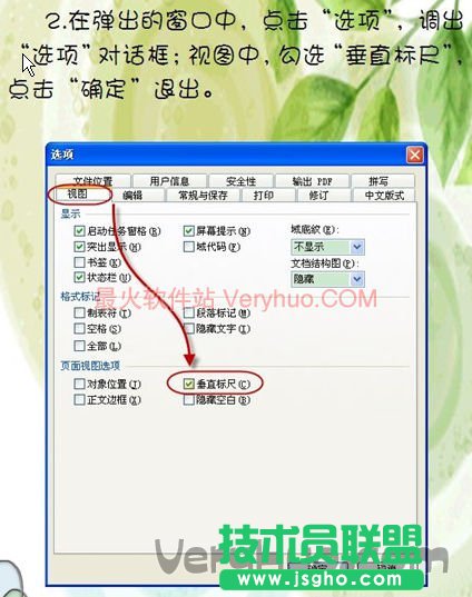 在弹出的窗口中，点击‘选项’，调出‘选项’对话框，视图中，勾选‘垂直标尺’，点击确定退出。