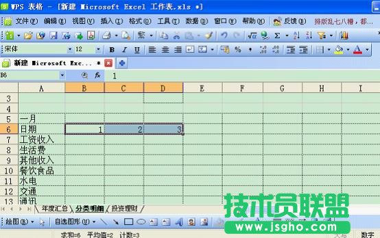 WPS如何打造个性化记账本