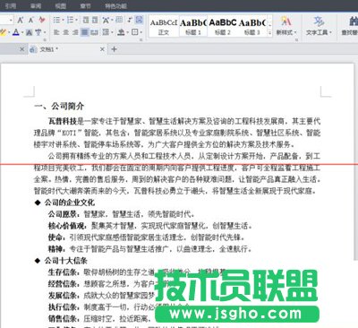 金山WPS文档加密码启动 三联
