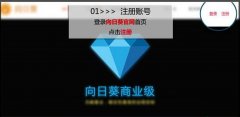 向日葵远程控制注册教程