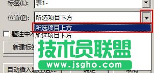 Word2013怎样为表格添加题注