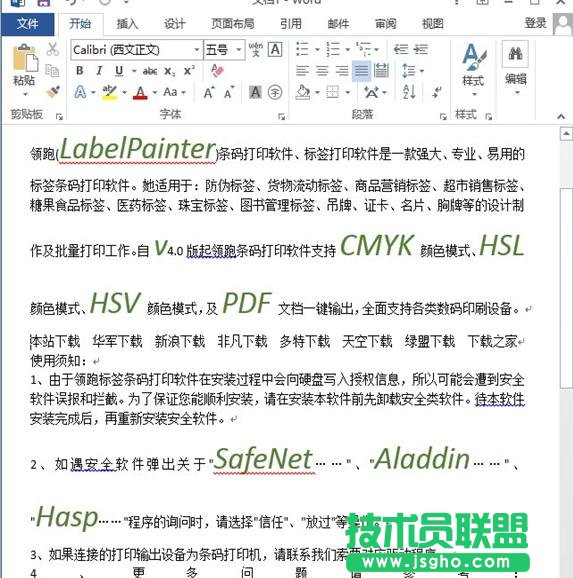 如何把Word2013文档中的英文突出显示