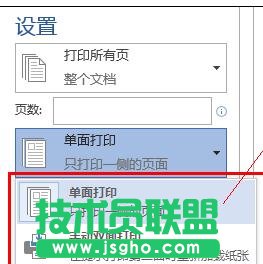 word2013如何进行双面打印 三联