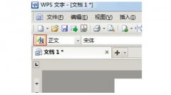 如何设置WPS文本首行自动缩进