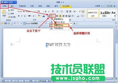 WPS文字带圈文字要怎么样输入