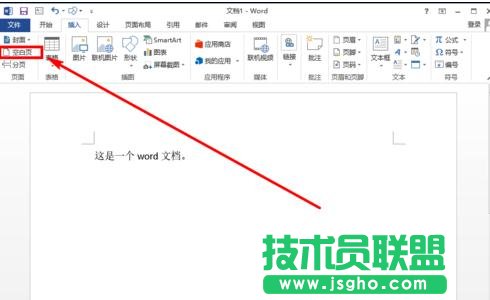word2013如何插入一个空白页