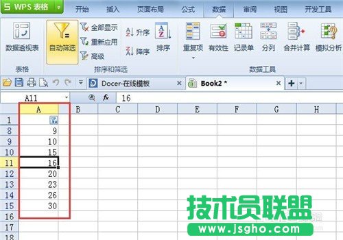 wps表格如何操作筛选格式?