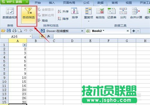 wps表格如何操作筛选格式?