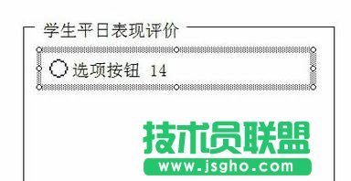 excel2013如何插入窗体单选框控件