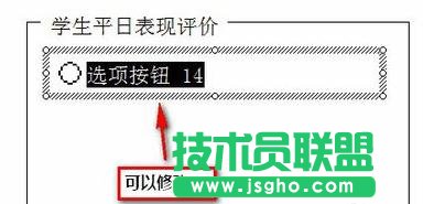 excel2013如何插入窗体单选框控件
