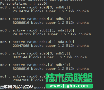 在RAID软磁盘阵列上搭建linux系统
