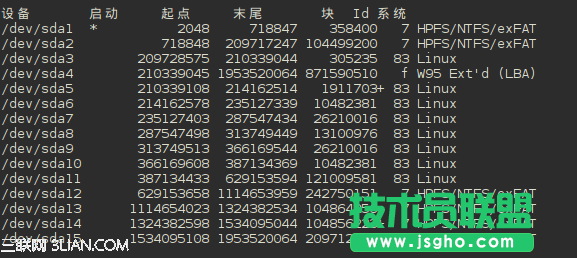 在RAID软磁盘阵列上搭建linux系统