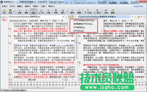 Beyond Compare 4文本比较注意事项 三联