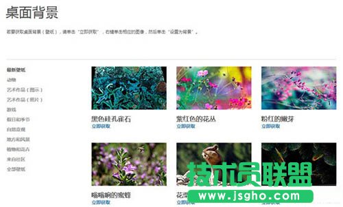 向Windows8靠拢 全新的个性化库页面