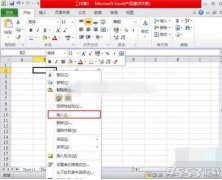 Excel2010单元格、行和列怎么插入