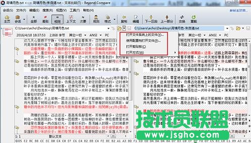 Beyond Compare 4文本比较有哪些注意事项 三联