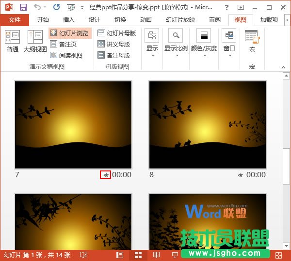检查动画效果