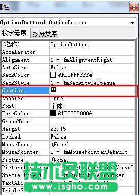 word2013如何为文档建立选项按钮