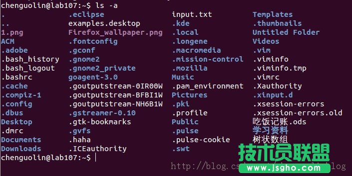 Linux文件系统基本结构
