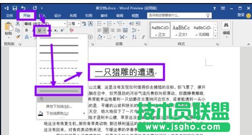 word2013怎样为文字添加下划线