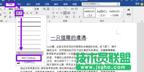 word2013怎样为文字添加下划线