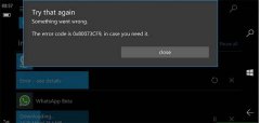 Win10 Mobile预览版14905应用更新出现0x80073cf9错误怎么办