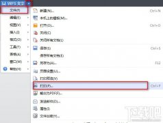 WPS文字打印基础设置介绍
