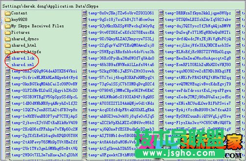 Skype自动关闭的解决方法