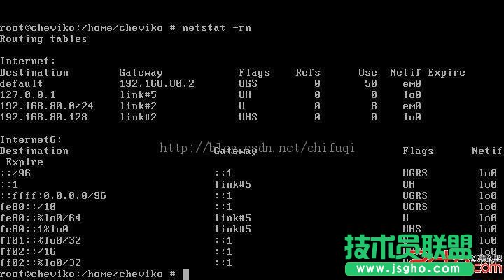 VMware中FreeBSD系统采用NAT方式上网