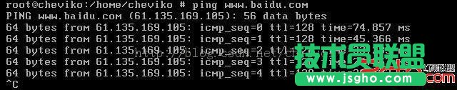 VMware中FreeBSD系统采用NAT方式上网
