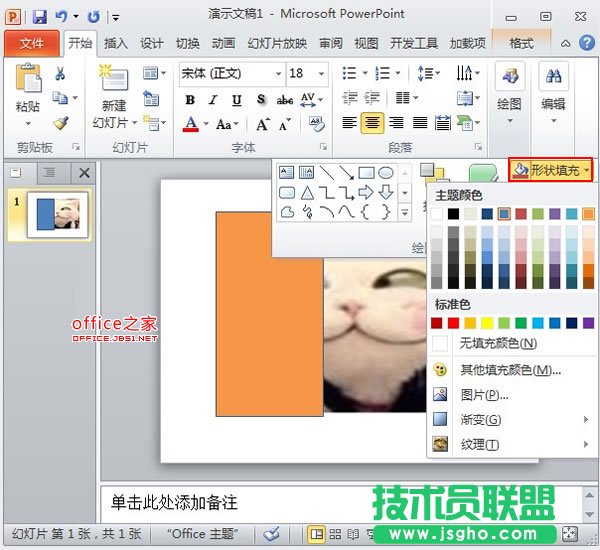 PowerPoint2010中图片的透明遮罩技巧