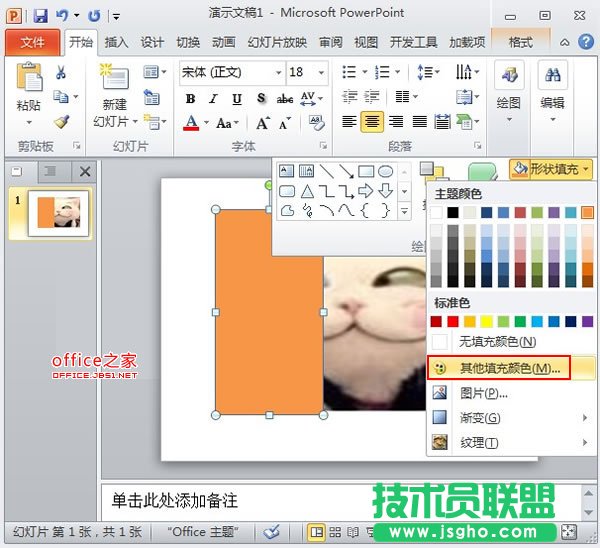 PowerPoint2010中图片的透明遮罩技巧