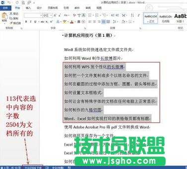 word2013查看字数统计的方法