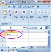 Excel2010单元格输入0开头数字不显示怎么办
