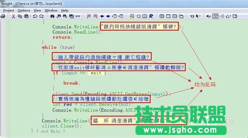 source insight 中文乱码的解决方案