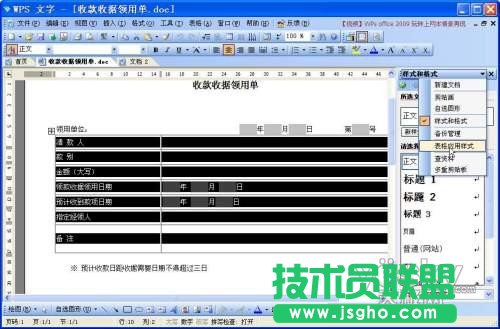 巧用WPS 2009将文档处理变成填字游戏