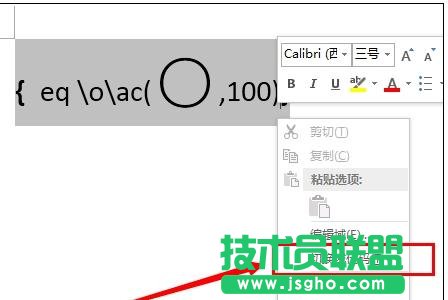word2013中如何输入带圈100