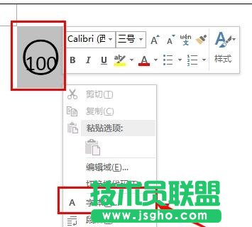 word2013中如何输入带圈100