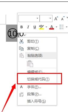 word2013中如何输入带圈100