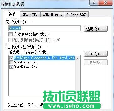 Word模板加载项